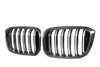 M Performance Style Pre Pregged Dry Carbon Fiber Grille (Dual Slat) for BMW X3 G01 / X4 G02 Pre LCI 2017-2021